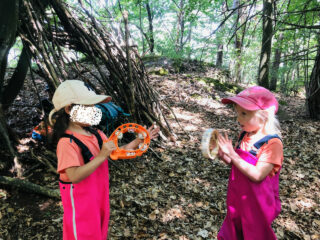 Musique foret