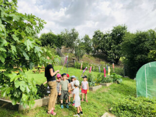 Potager