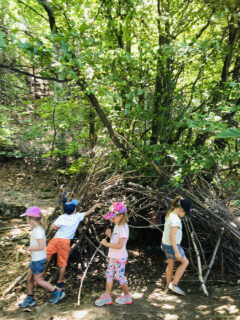cabane